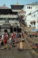 Nepal (97 von 124).jpg